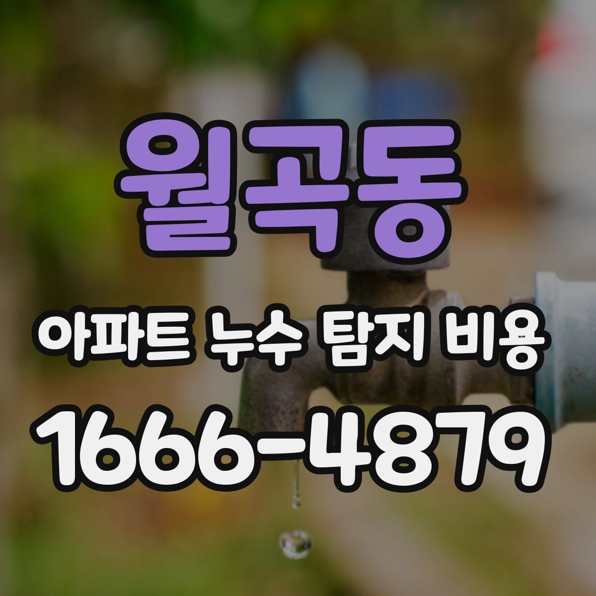 월곡동 아파트 누수 탐지 비용