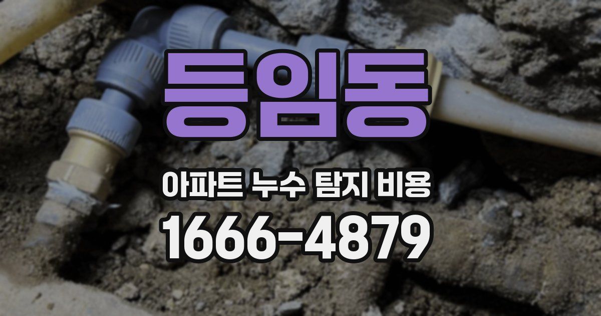 등임동 아파트 누수 탐지 비용