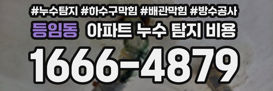 등임동 아파트 누수 탐지 비용