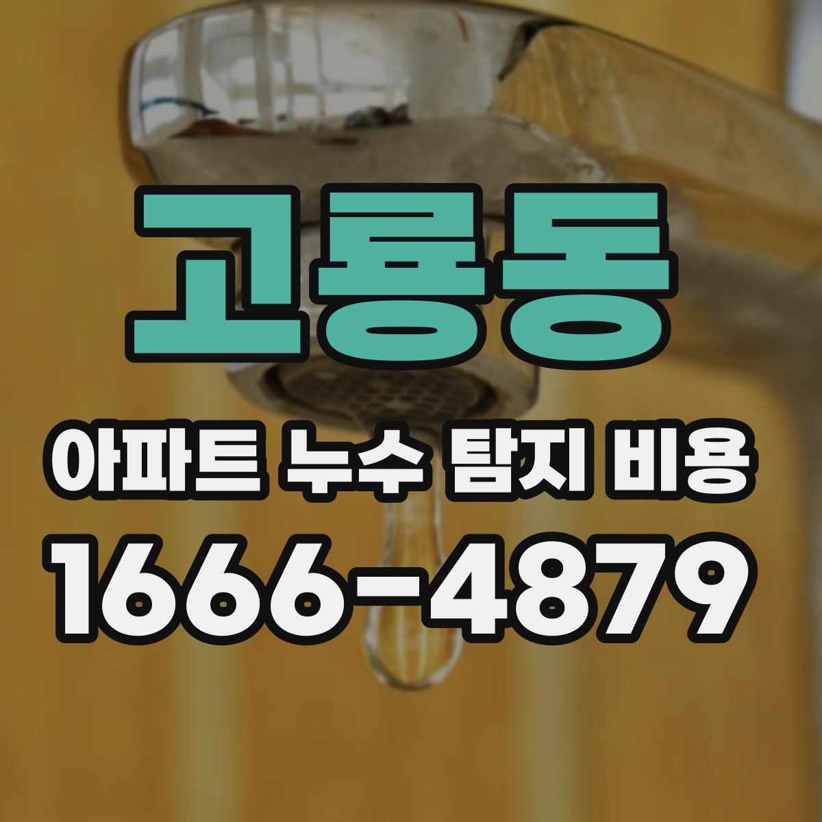 고룡동 아파트 누수 탐지 비용