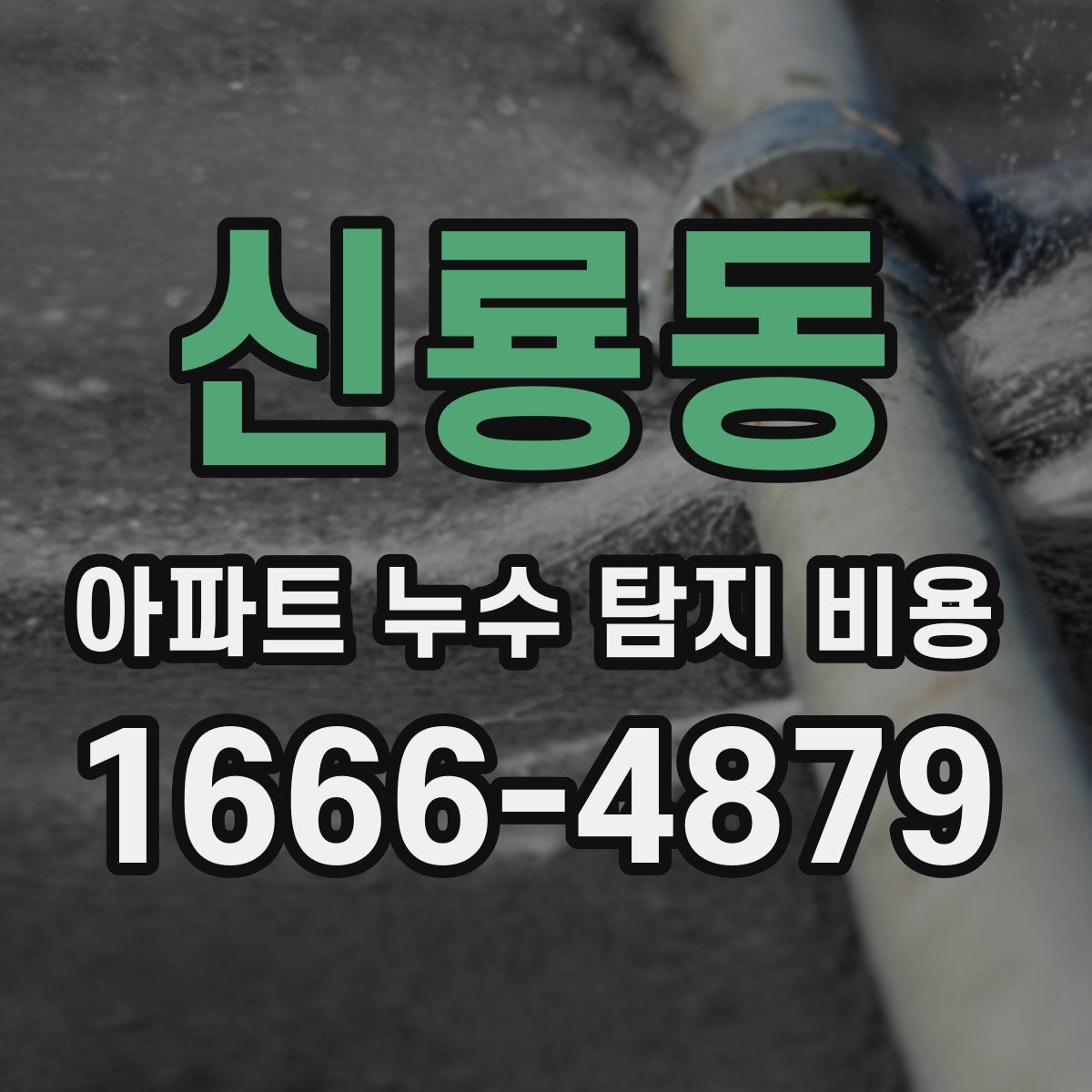 신룡동 아파트 누수 탐지 비용