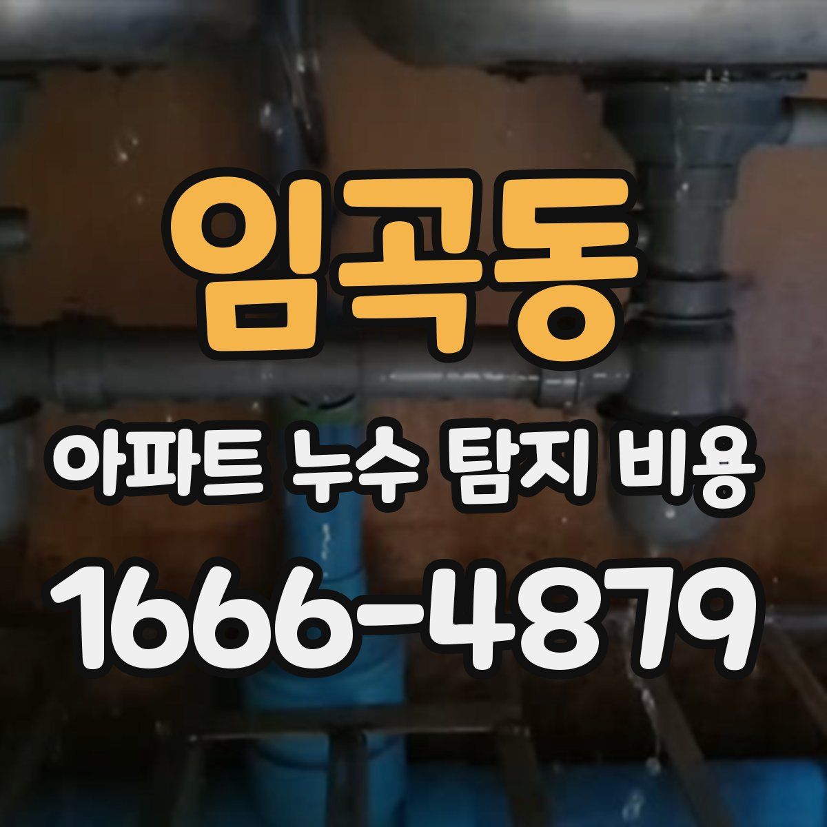 임곡동 아파트 누수 탐지 비용
