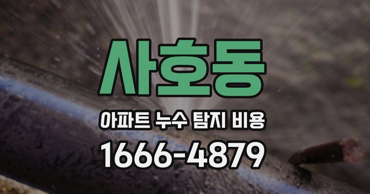 사호동 아파트 누수 탐지 비용