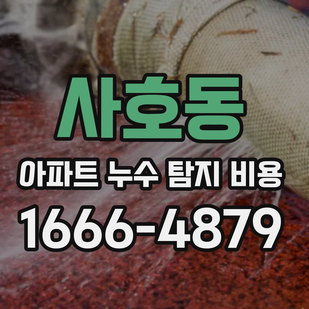 사호동 아파트 누수 탐지 비용