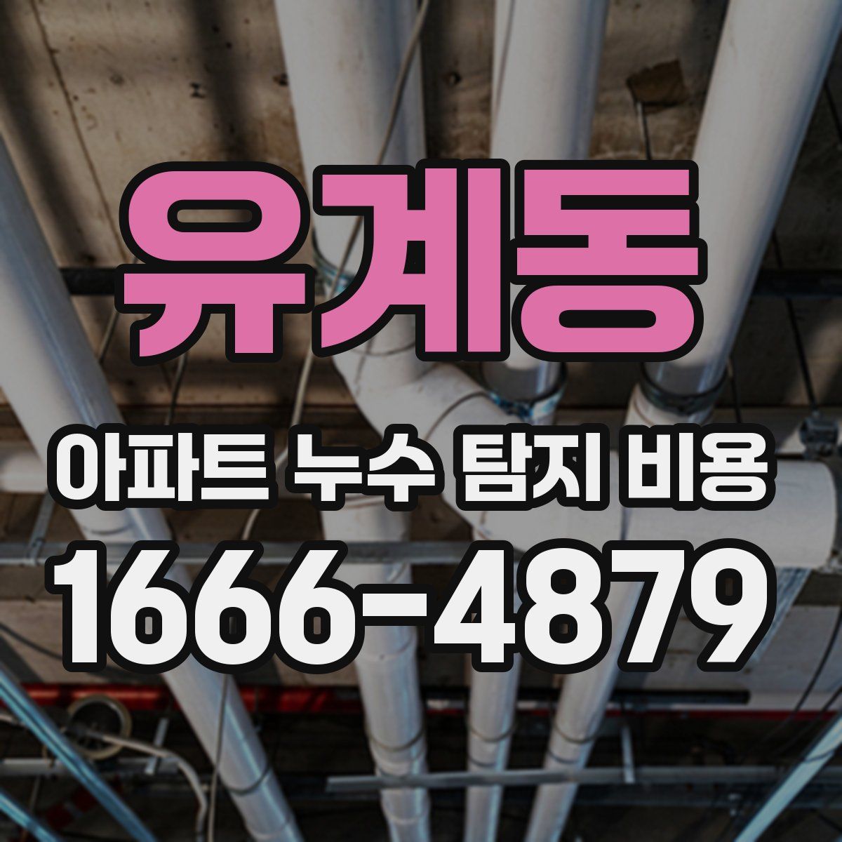 유계동 아파트 누수 탐지 비용