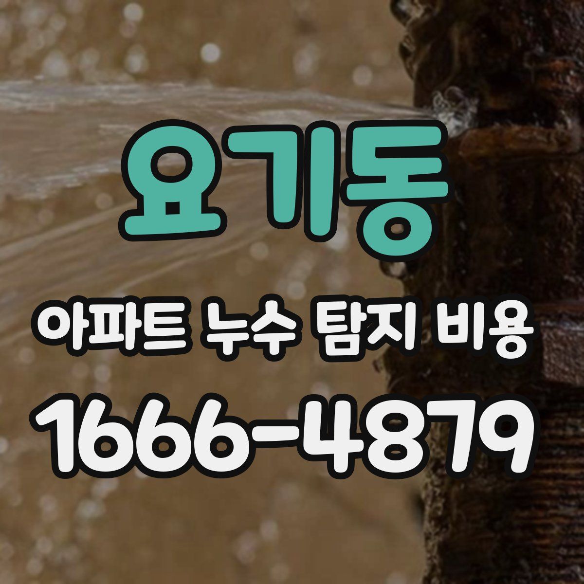 요기동 아파트 누수 탐지 비용
