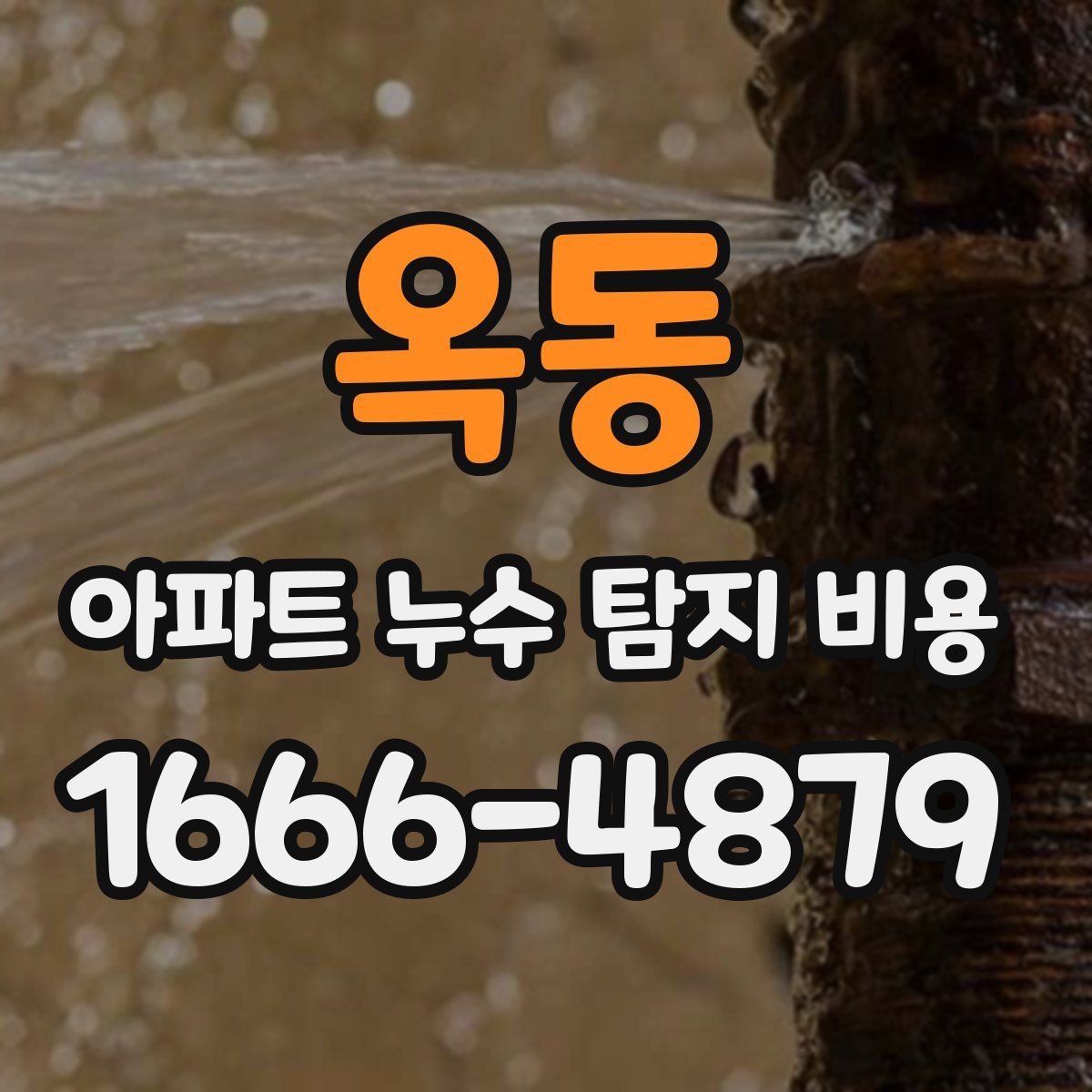 옥동 아파트 누수 탐지 비용