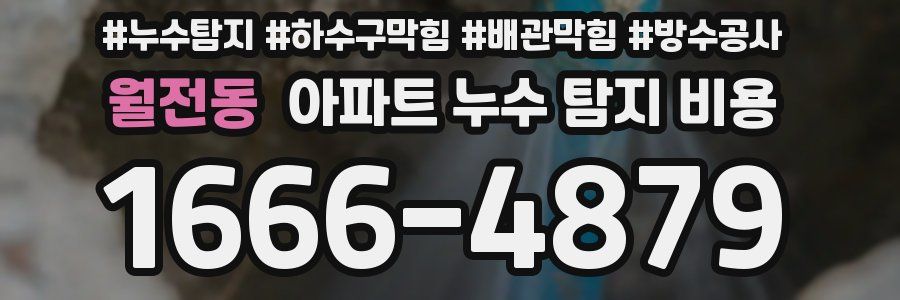 월전동 아파트 누수 탐지 비용