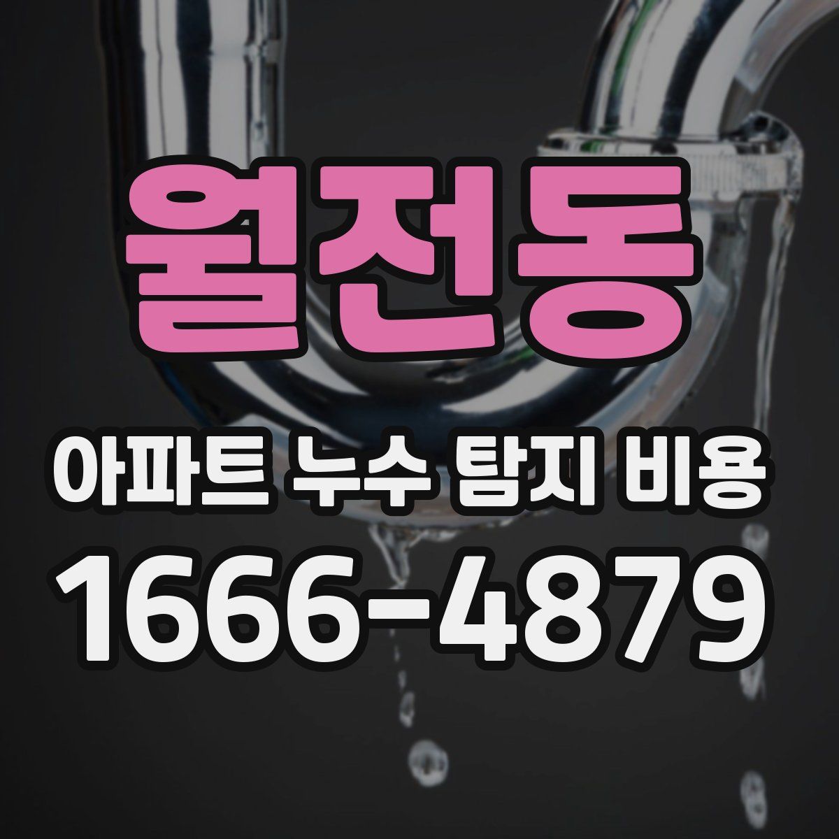 월전동 아파트 누수 탐지 비용