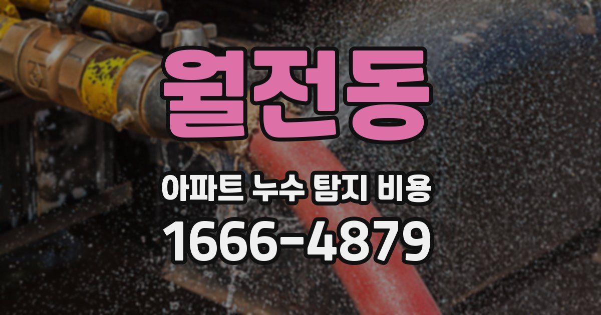 월전동 아파트 누수 탐지 비용