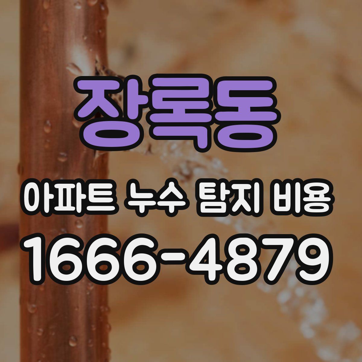 장록동 아파트 누수 탐지 비용