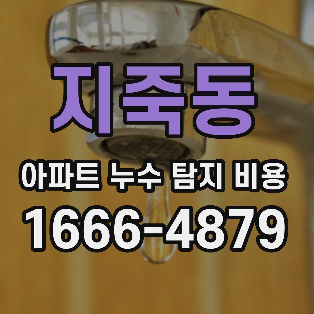 지죽동 아파트 누수 탐지 비용