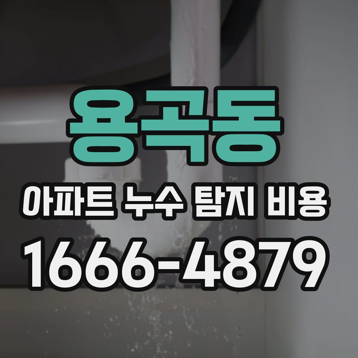 용곡동 아파트 누수 탐지 비용