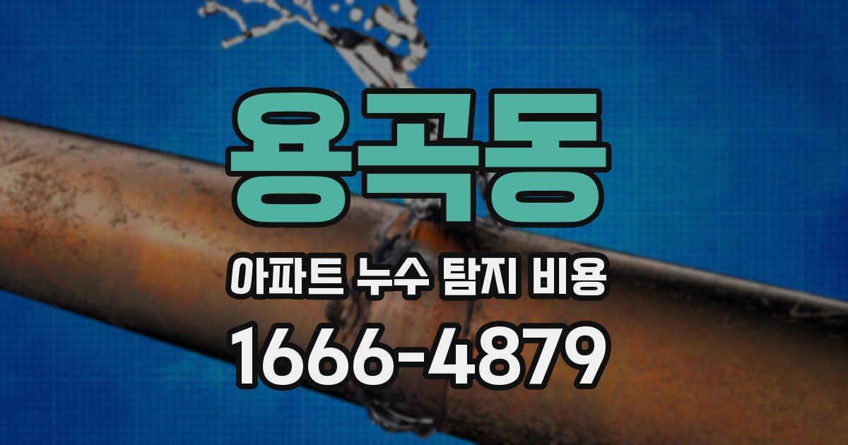 용곡동 아파트 누수 탐지 비용
