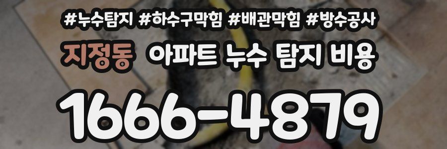 지정동 아파트 누수 탐지 비용