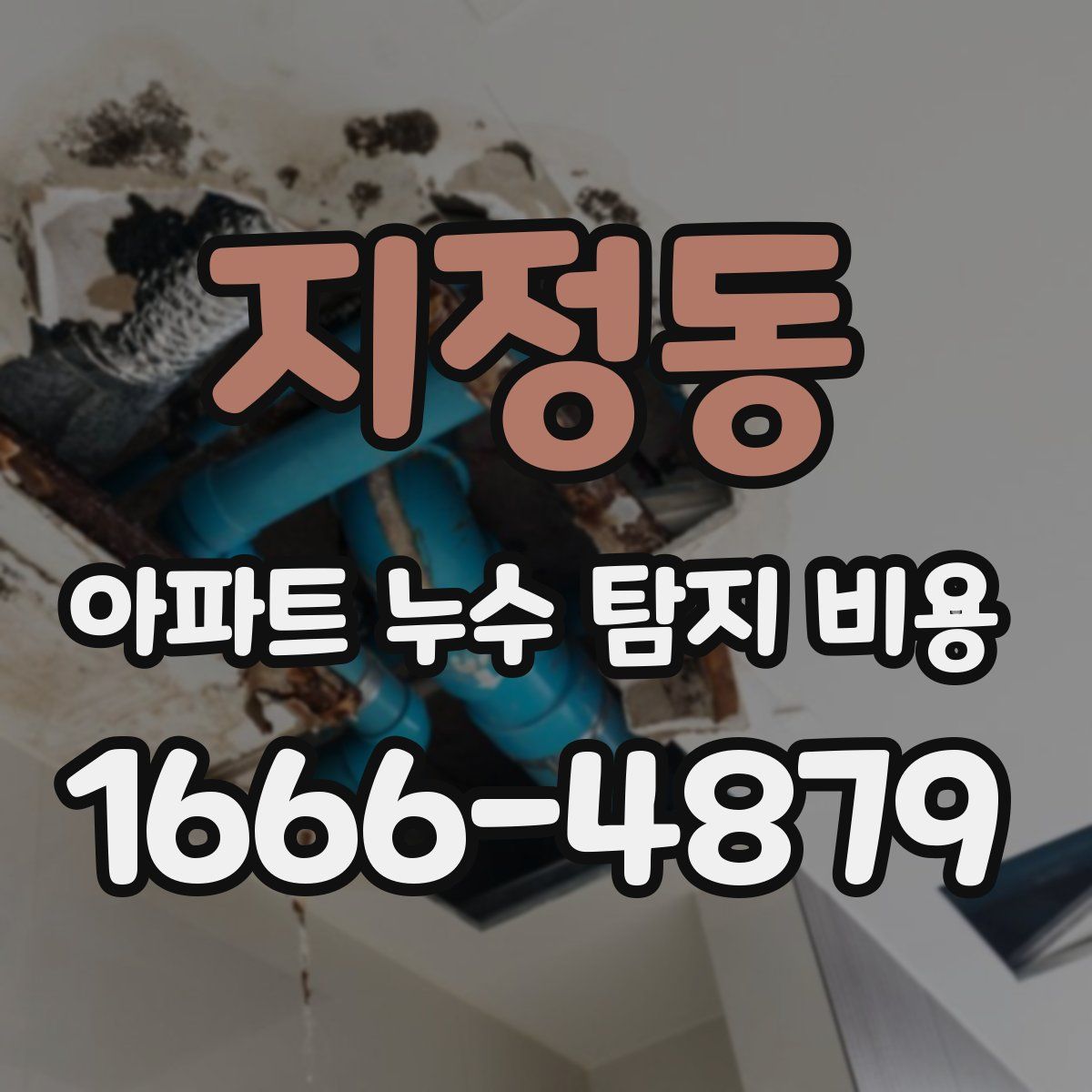 지정동 아파트 누수 탐지 비용