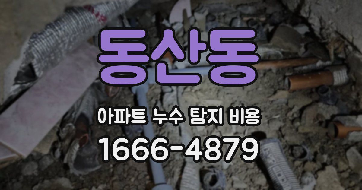 동산동 아파트 누수 탐지 비용