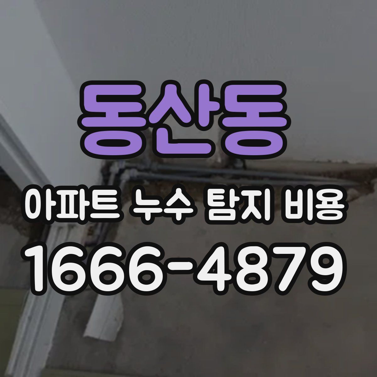 동산동 아파트 누수 탐지 비용