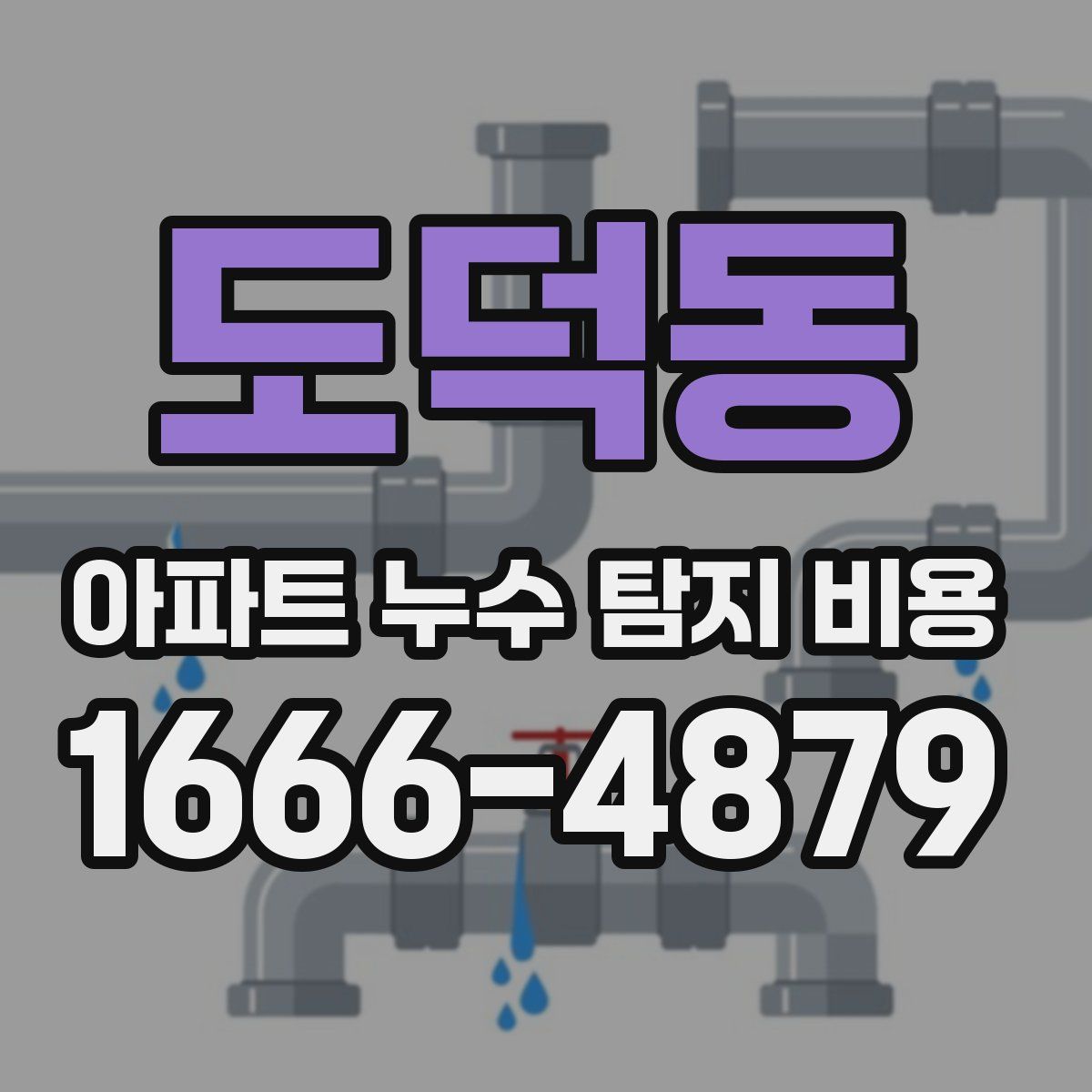 도덕동 아파트 누수 탐지 비용