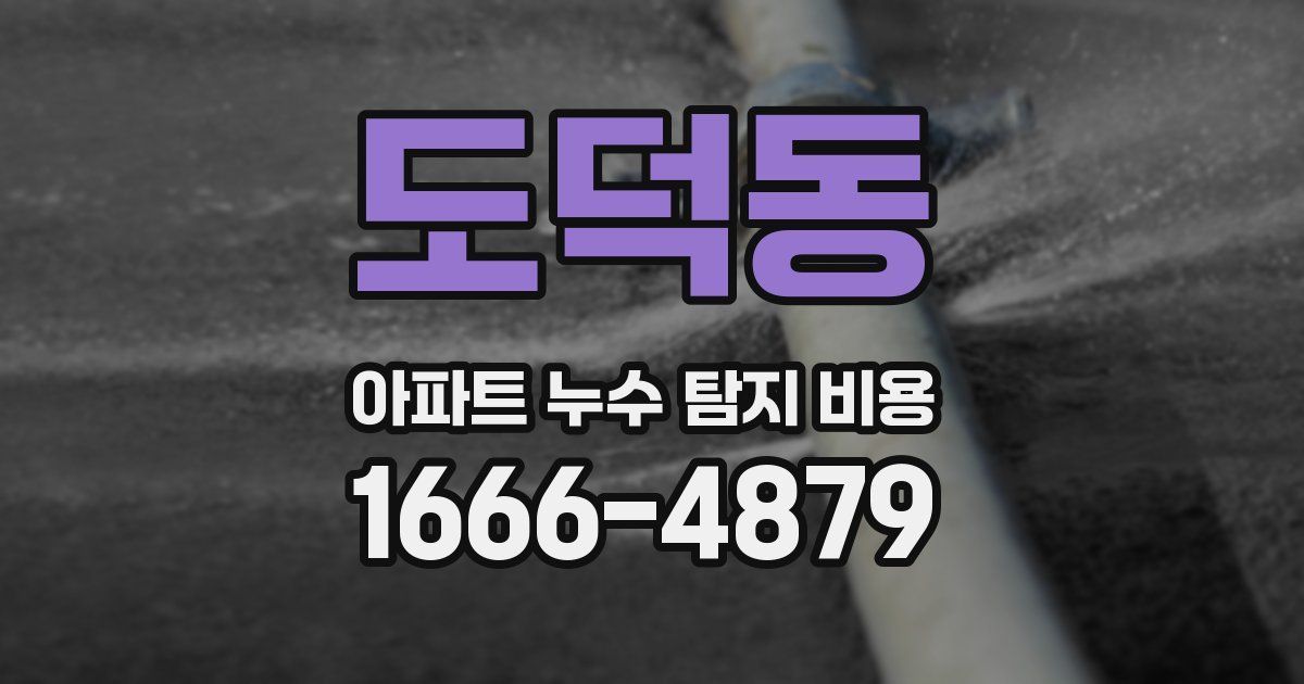 도덕동 아파트 누수 탐지 비용