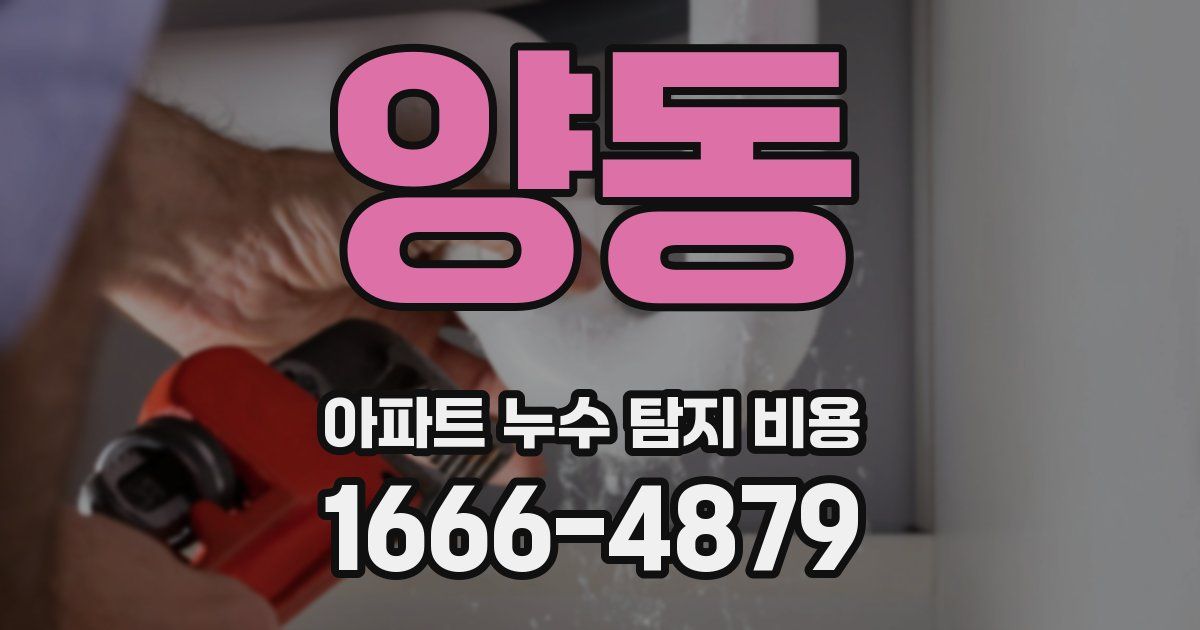 양동 아파트 누수 탐지 비용