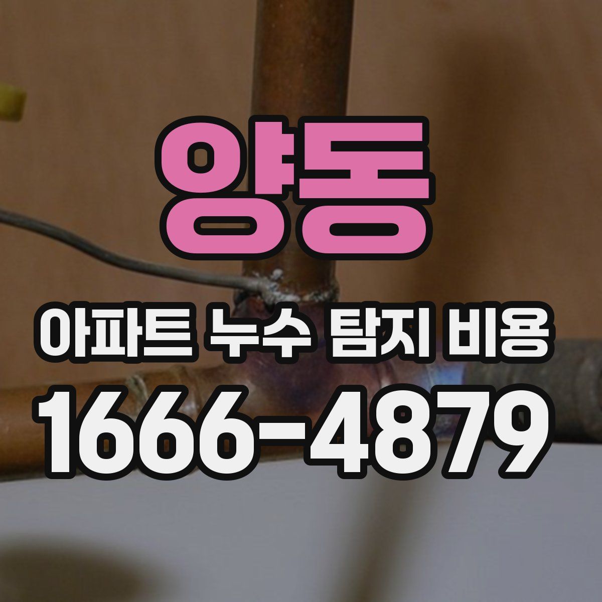 양동 아파트 누수 탐지 비용