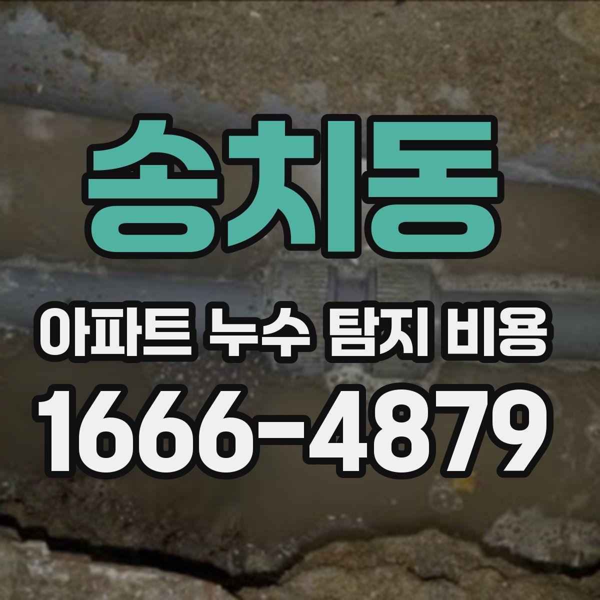 송치동 아파트 누수 탐지 비용