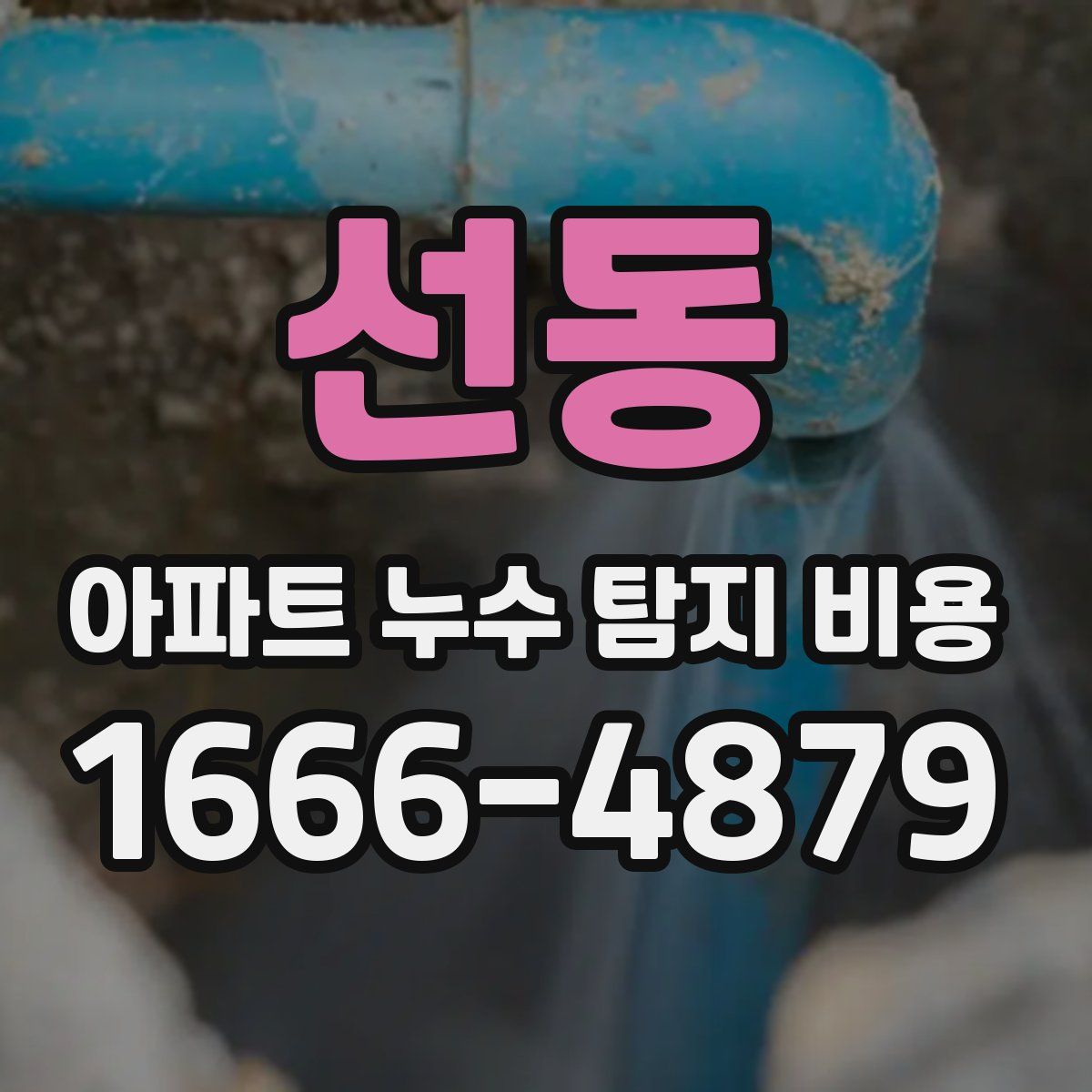 선동 아파트 누수 탐지 비용