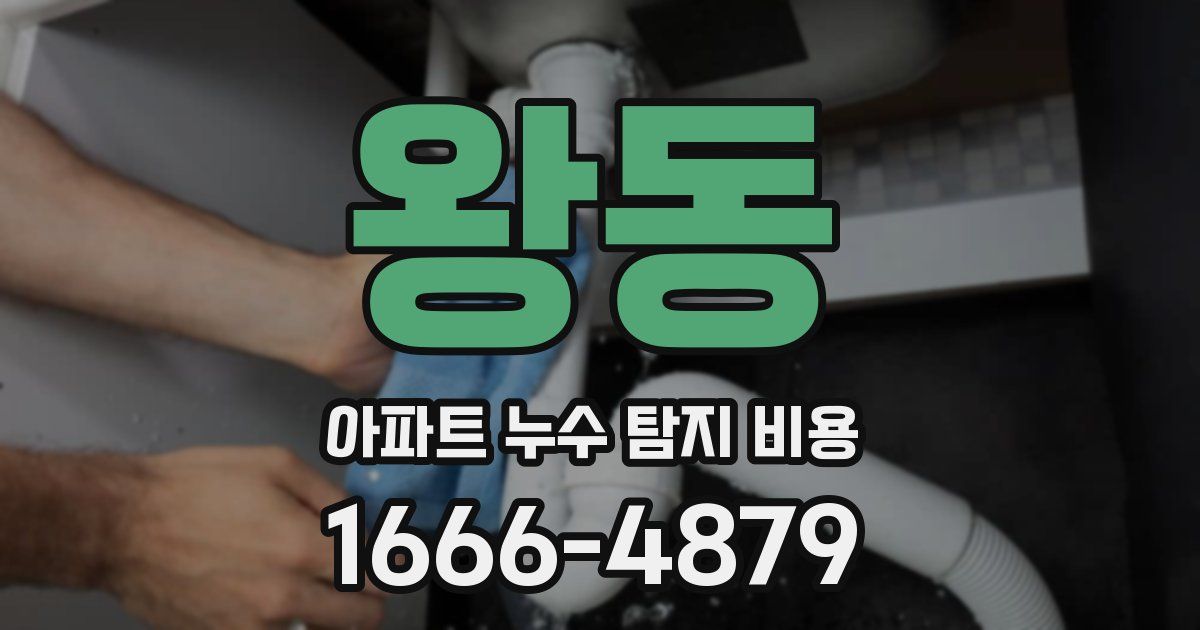 왕동 아파트 누수 탐지 비용