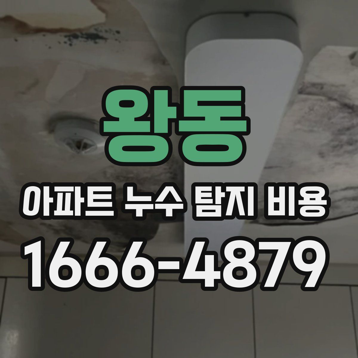 왕동 아파트 누수 탐지 비용