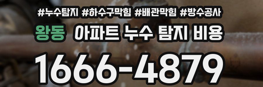 왕동 아파트 누수 탐지 비용