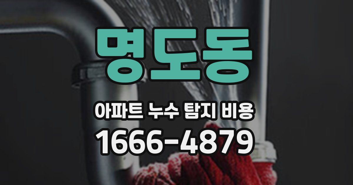 명도동 아파트 누수 탐지 비용