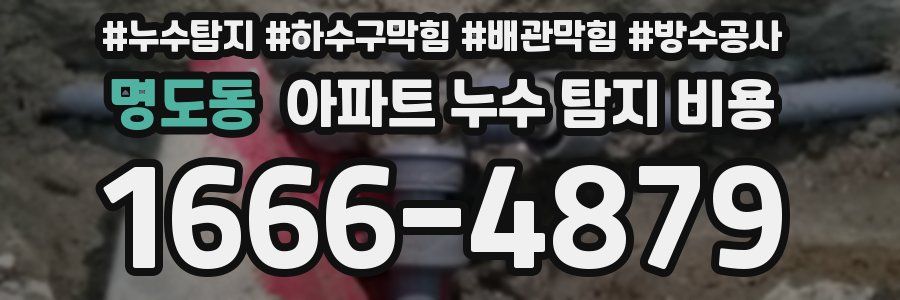 명도동 아파트 누수 탐지 비용
