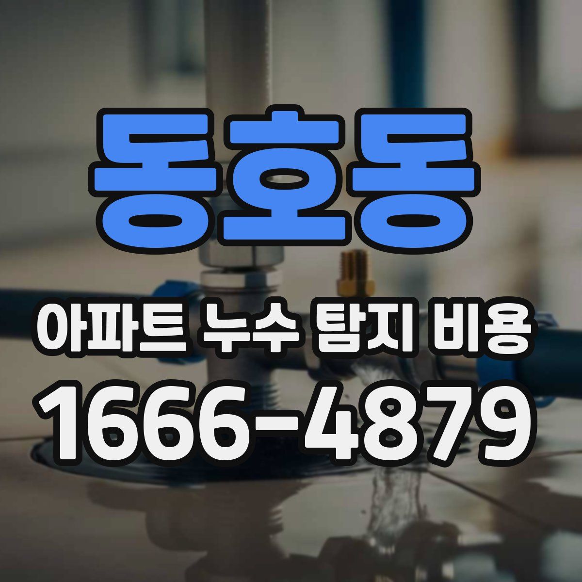 동호동 아파트 누수 탐지 비용