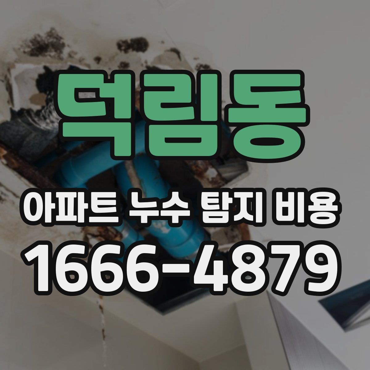 덕림동 아파트 누수 탐지 비용