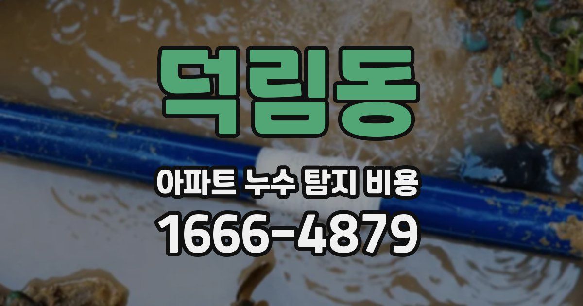 덕림동 아파트 누수 탐지 비용
