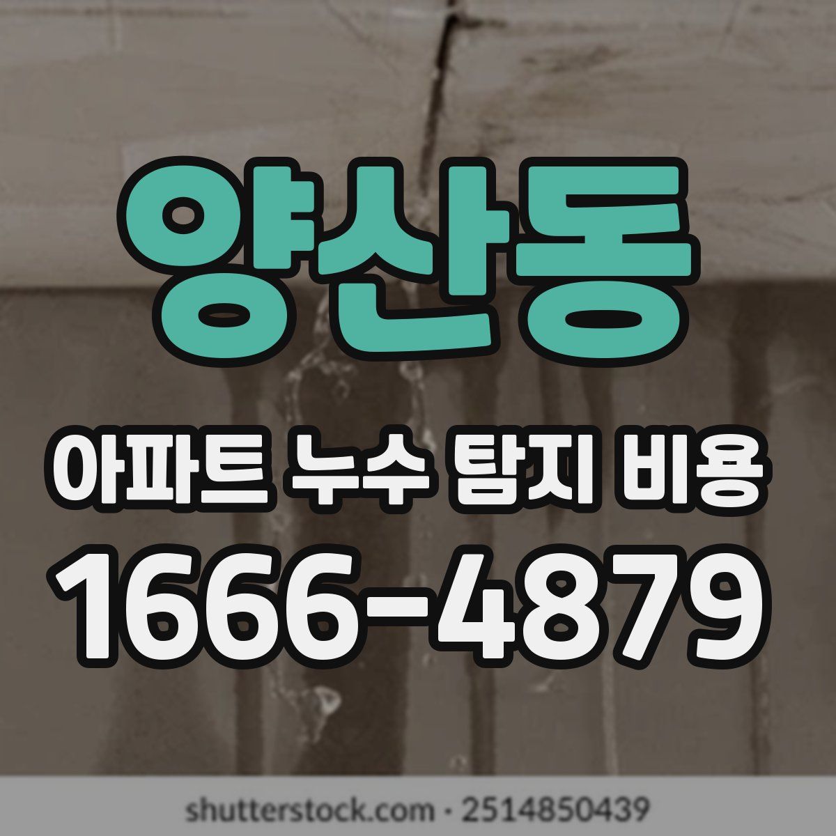 양산동 아파트 누수 탐지 비용