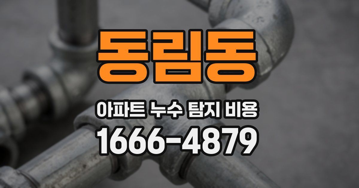 동림동 아파트 누수 탐지 비용