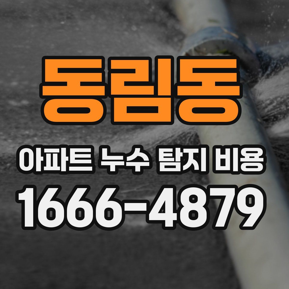 동림동 아파트 누수 탐지 비용