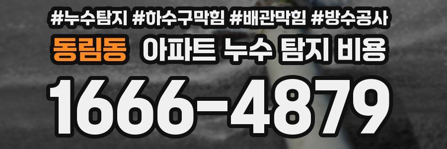 동림동 아파트 누수 탐지 비용