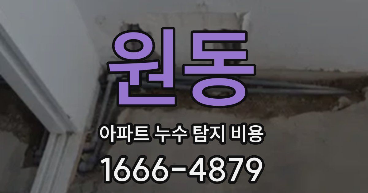 원동 아파트 누수 탐지 비용