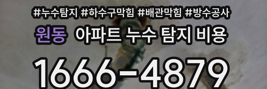 원동 아파트 누수 탐지 비용