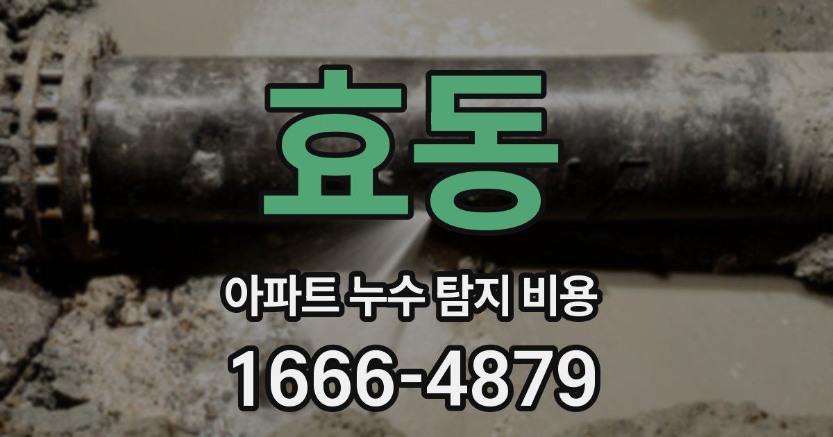 효동 아파트 누수 탐지 비용