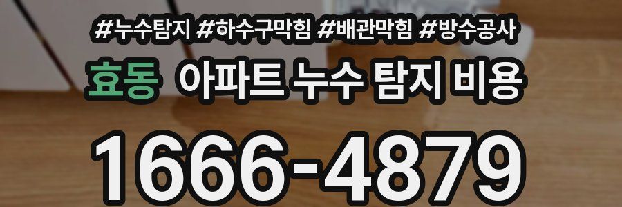 효동 아파트 누수 탐지 비용
