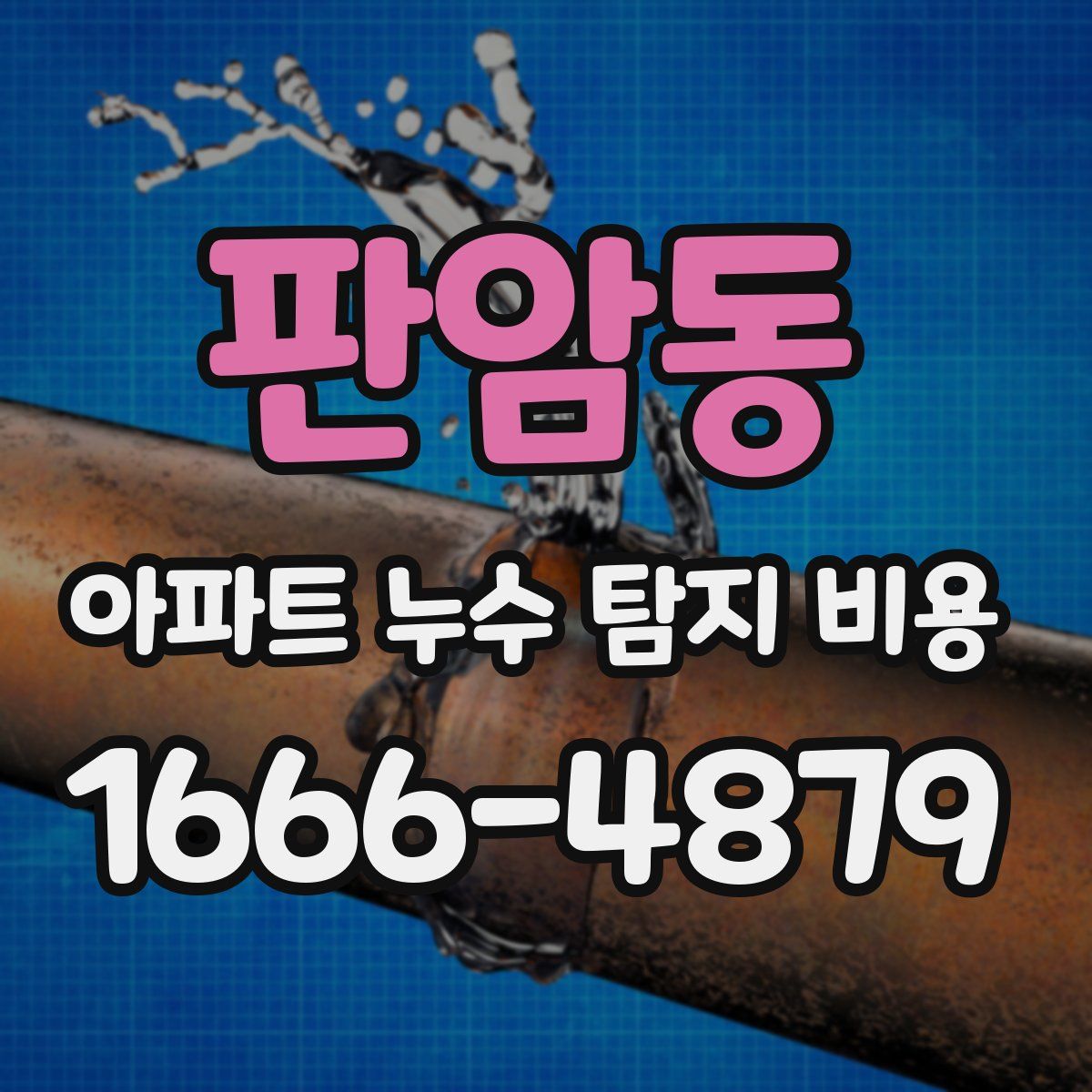 판암동 아파트 누수 탐지 비용