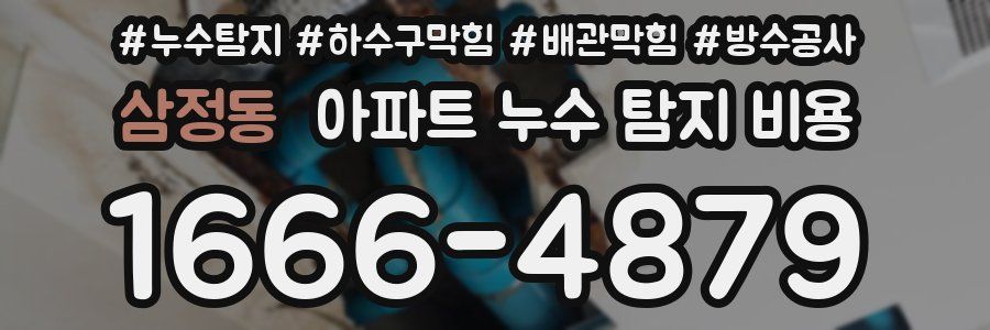 삼정동 아파트 누수 탐지 비용