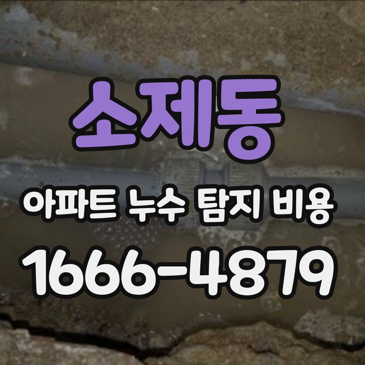 소제동 아파트 누수 탐지 비용