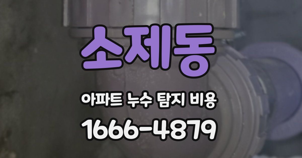 소제동 아파트 누수 탐지 비용