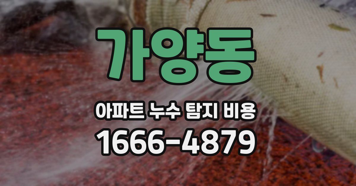 가양동 아파트 누수 탐지 비용
