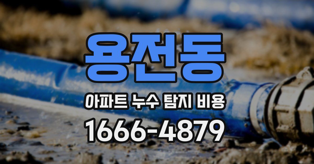용전동 아파트 누수 탐지 비용